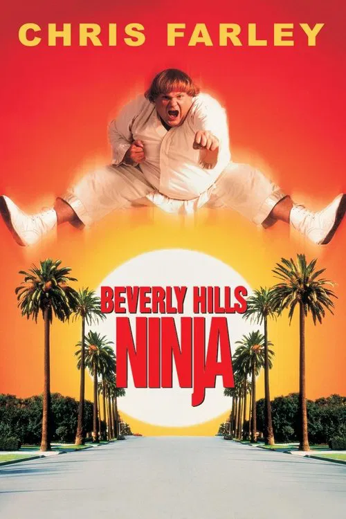 Beverly Hills Ninja (1997) Dual Audio (DD5.1) {Hindi-English} BluRay 480p [330MB] | 720p [880MB] | 1080p [1.7GB]