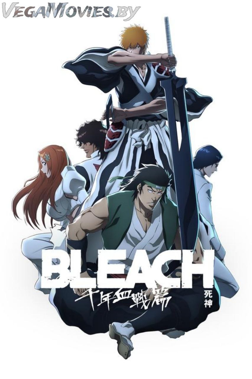 Bleach: Thousand-Year Blood War (Season 1 – 3) Complete MulTi Audio {Hindi-English-Japanese} Anime Series 1080p | 720p WEB-DL