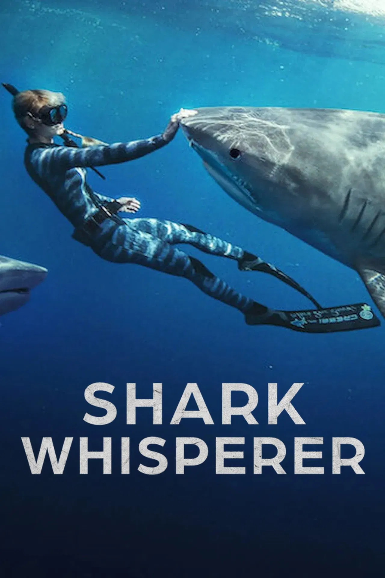 Shark Whisperer (2025) WEB-DL NF Dual Audio {Hindi-English} 480p [250MB] | 720p [970MB] | 1080p [1.9GB]