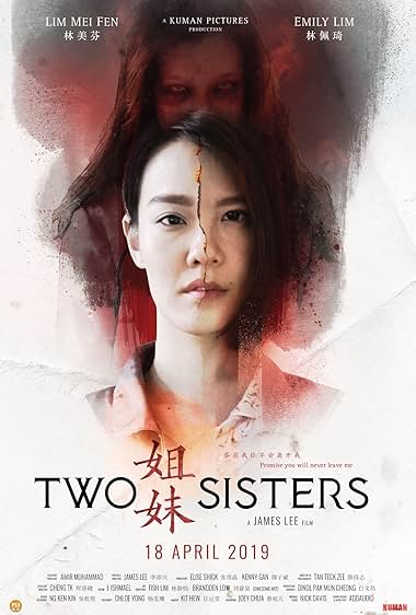 Two Sisters (2019) WEB-DL Dual Audio {Hindi-Chinese} 480p [310MB] | 720p [890MB] | 1080p [2GB]