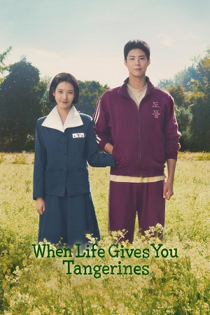 When Life Gives You Tangerines (2025) Season 1 [S01E16 {new} Added] Multi Audio {Hindi-English-Korean} NetFlix Series 480p | 720p | 1080p WEB-DL